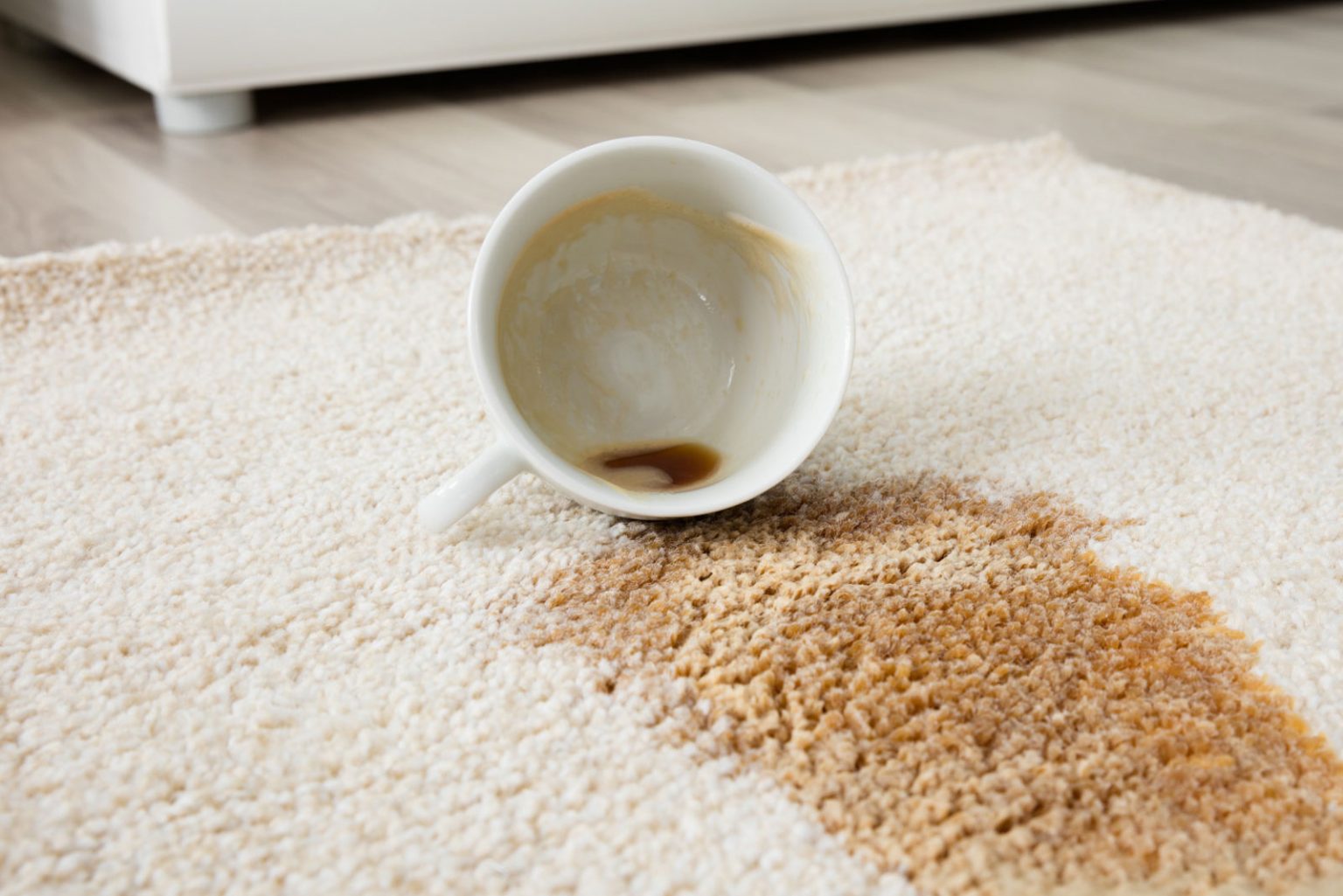 Spot & Stain Removal Services Atlas Janitorail Services