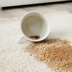 Spot & Stain Removal Services