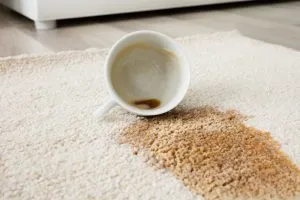 Spot & Stain Removal Services